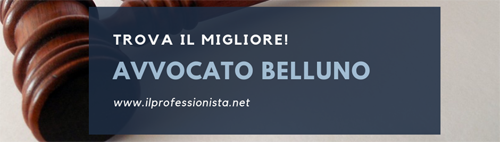 avvocato belluno avvocati